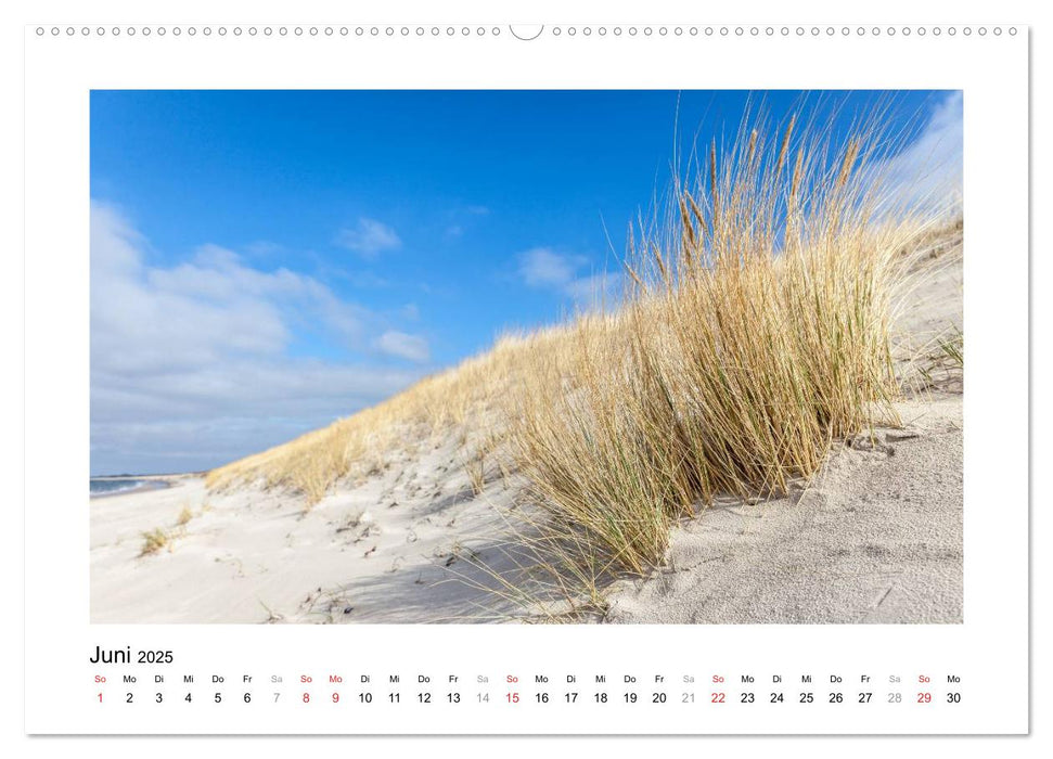 Ostsee - Spaziergang am Meer (CALVENDO Wandkalender 2025)