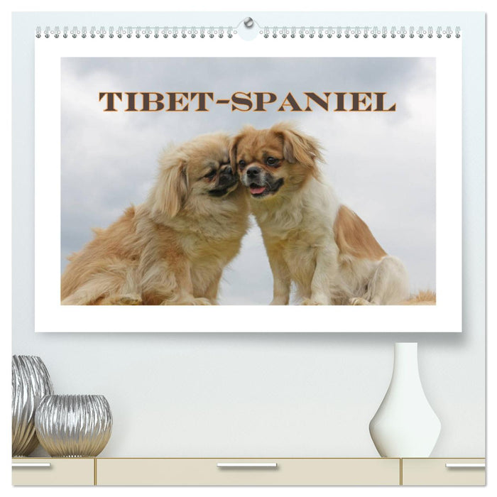 Tibet-Spaniel (CALVENDO Premium Wandkalender 2025)