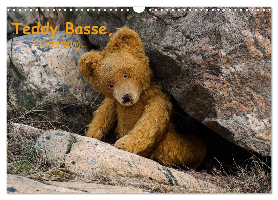 Teddy Basse, Fortsetzung... (CALVENDO Wandkalender 2025)