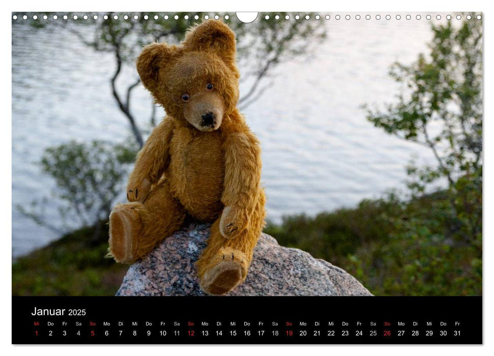 Teddy Basse, Fortsetzung... (CALVENDO Wandkalender 2025)