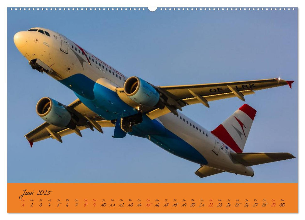 Flugzeuge im Abendlicht (CALVENDO Premium Wandkalender 2025)