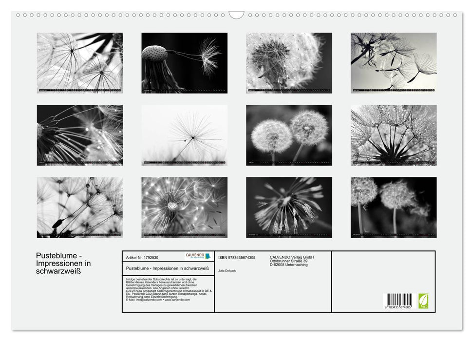 Pusteblume - Impressionen in schwarzweiß (CALVENDO Wandkalender 2025)