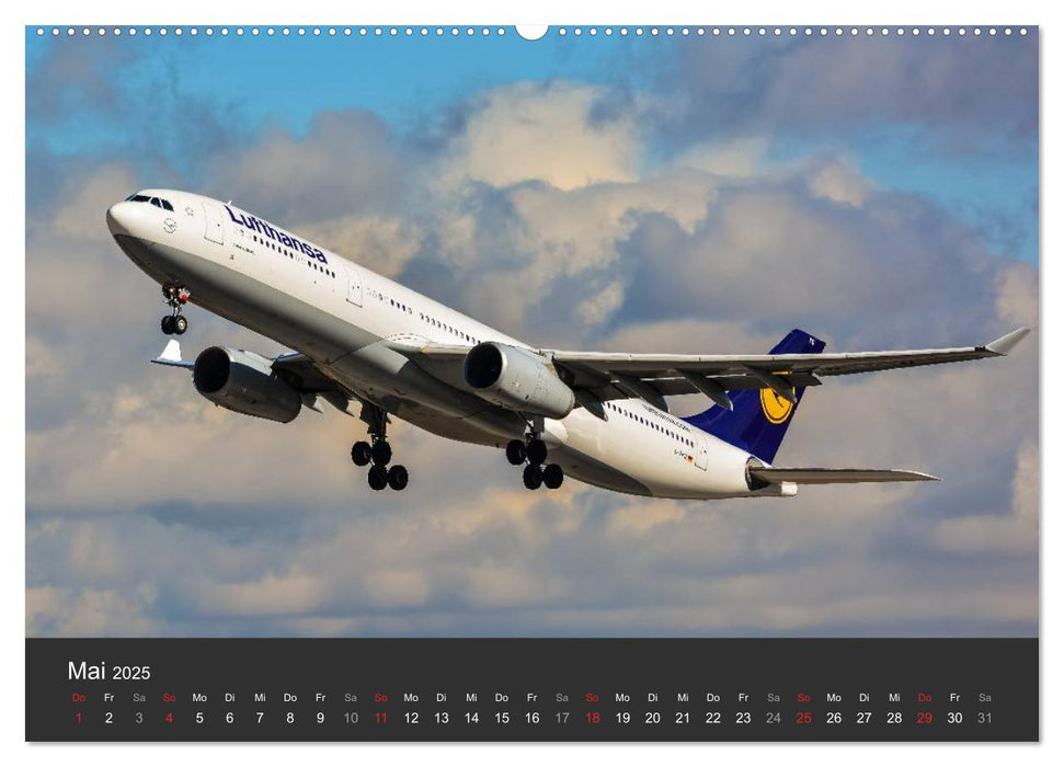 Verkehrsflugzeuge (CALVENDO Premium Wandkalender 2025)