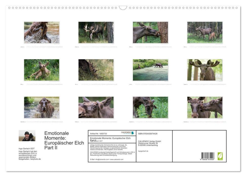 Emotionale Momente: Europäischer Elch Part II (CALVENDO Wandkalender 2025)