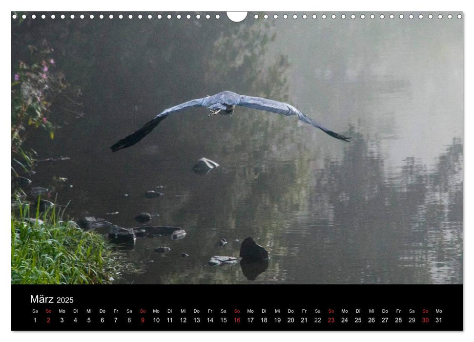 Lebendig Still - Die Ruhr in Arnsberg (CALVENDO Wandkalender 2025)