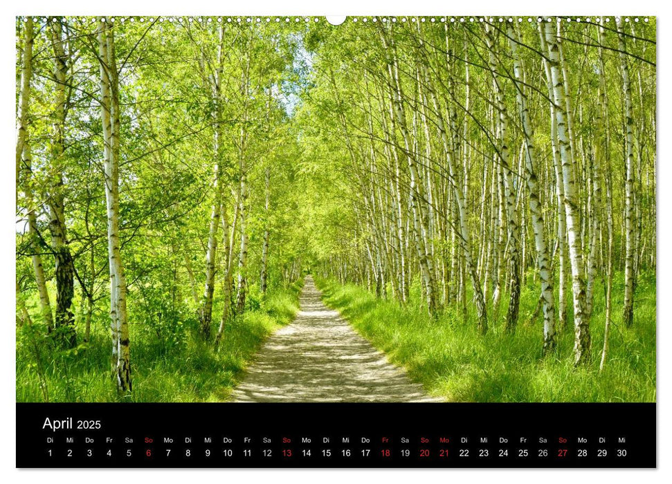 Die vier Jahreszeiten (CALVENDO Wandkalender 2025)