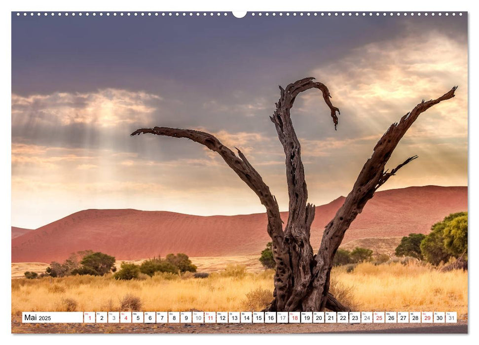 Namibia - Farben und Licht (CALVENDO Premium Wandkalender 2025)