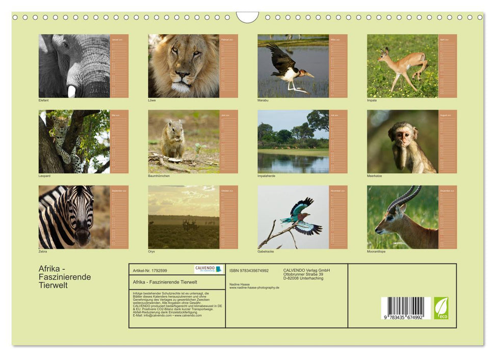 Afrika - Faszinierende Tierwelt (CALVENDO Wandkalender 2025)