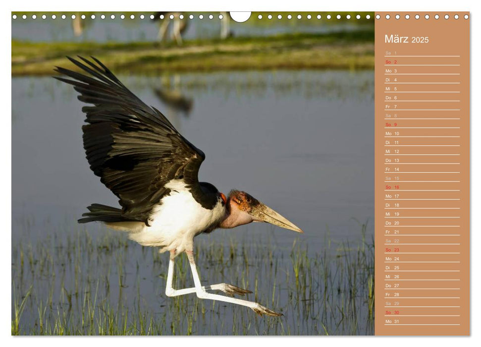 Afrika - Faszinierende Tierwelt (CALVENDO Wandkalender 2025)