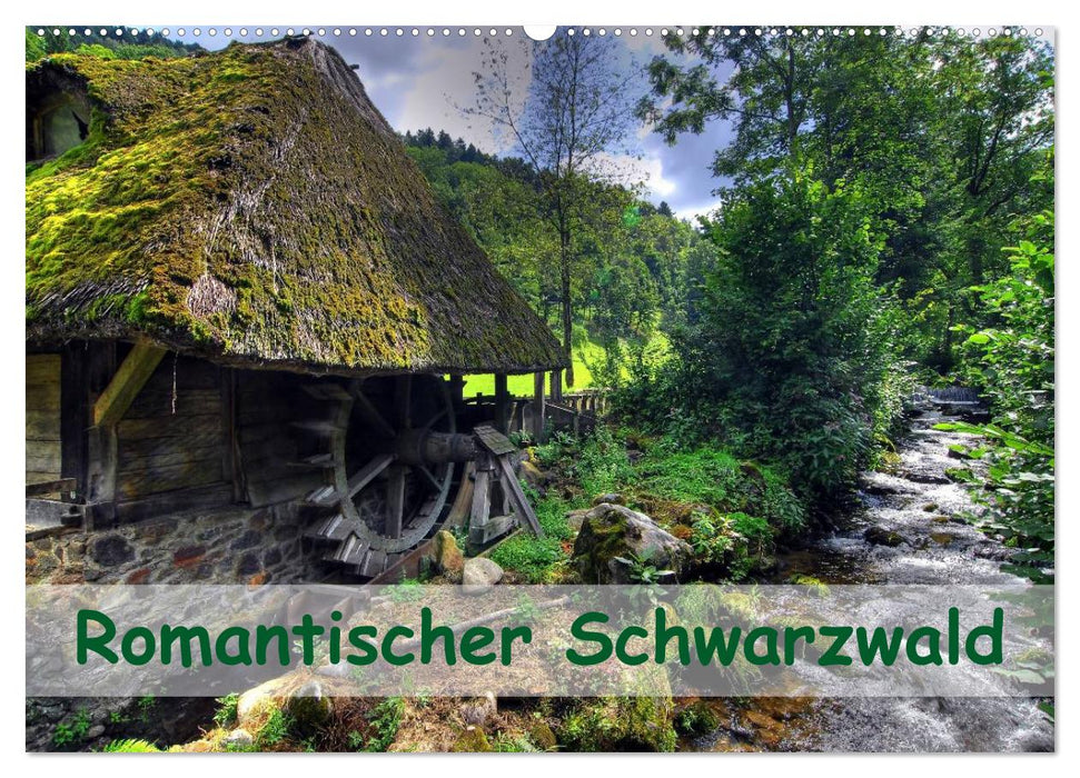 Romantischer Schwarzwald (CALVENDO Wandkalender 2025)