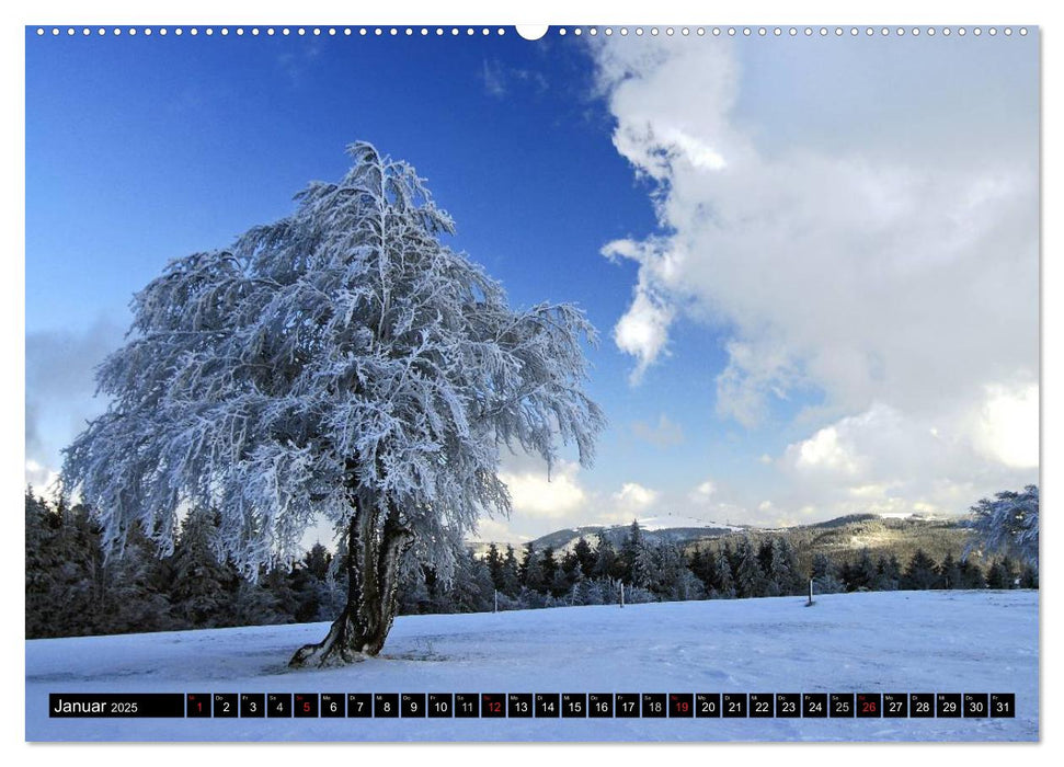 Romantischer Schwarzwald (CALVENDO Wandkalender 2025)