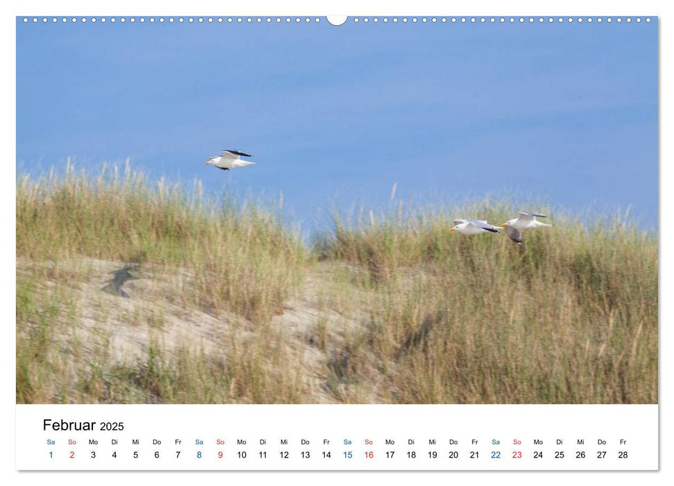 Seeland - Impressionen aus dem Südwesten der Niederlande (CALVENDO Premium Wandkalender 2025)