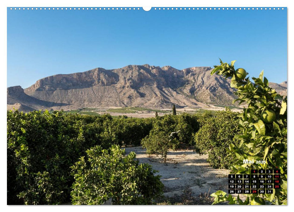 Costa Blanca - Sonne, Strand und mehr (CALVENDO Wandkalender 2025)