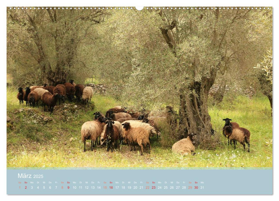 Lesbos - Inselimpressionen (CALVENDO Premium Wandkalender 2025)