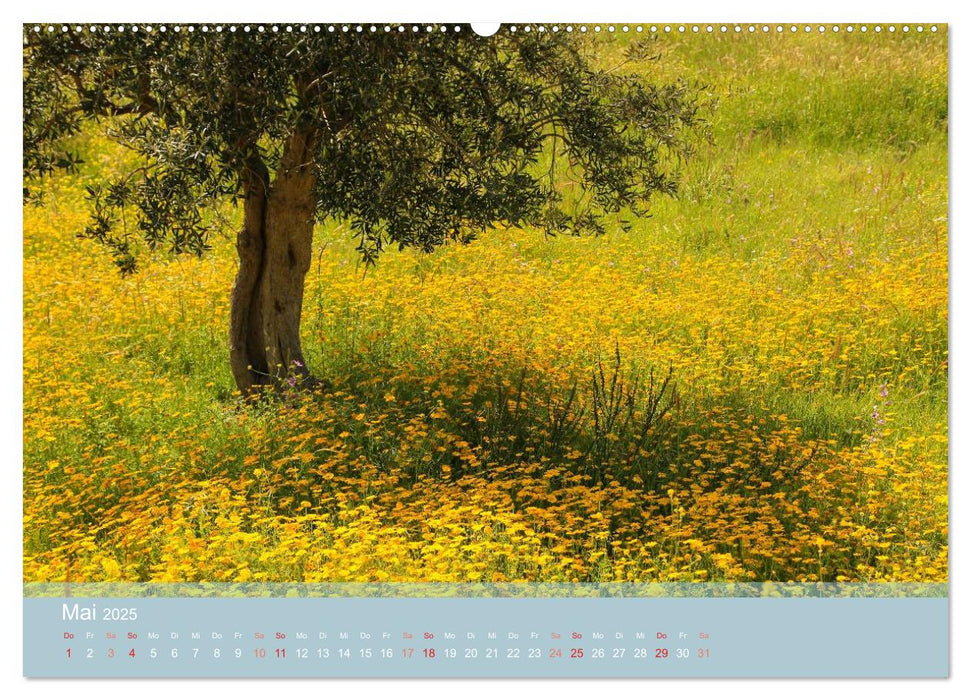 Lesbos - Inselimpressionen (CALVENDO Premium Wandkalender 2025)