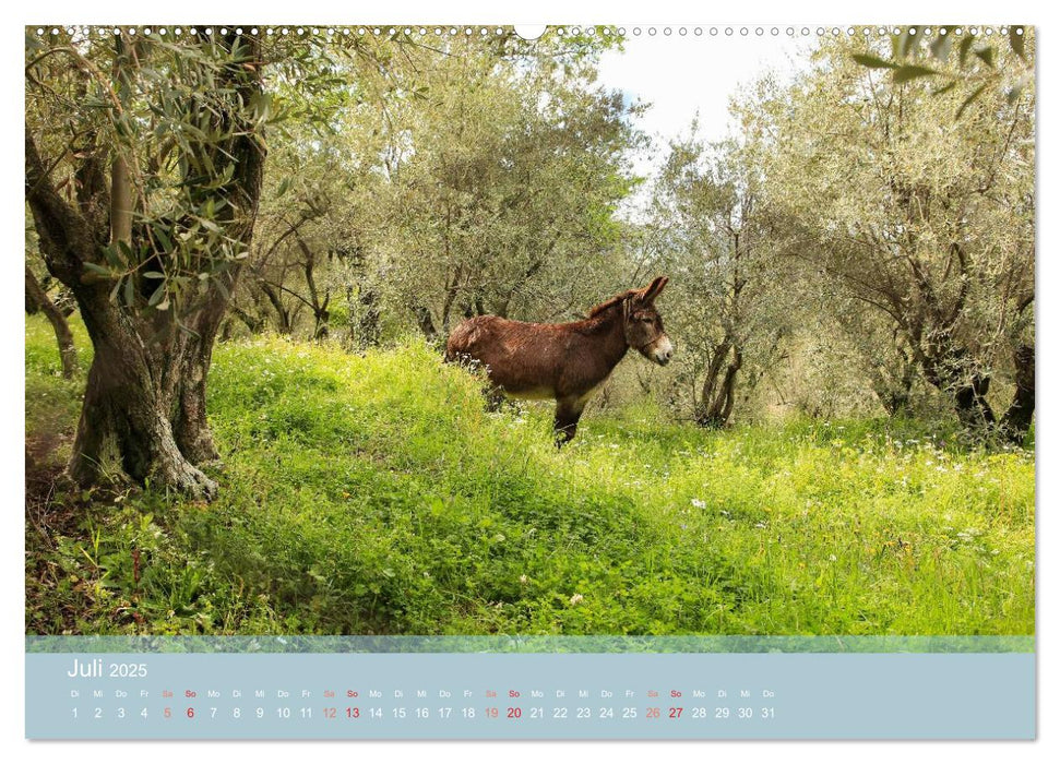 Lesbos - Inselimpressionen (CALVENDO Premium Wandkalender 2025)