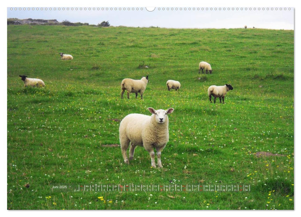 Irland einfach märchenhaft (CALVENDO Premium Wandkalender 2025)