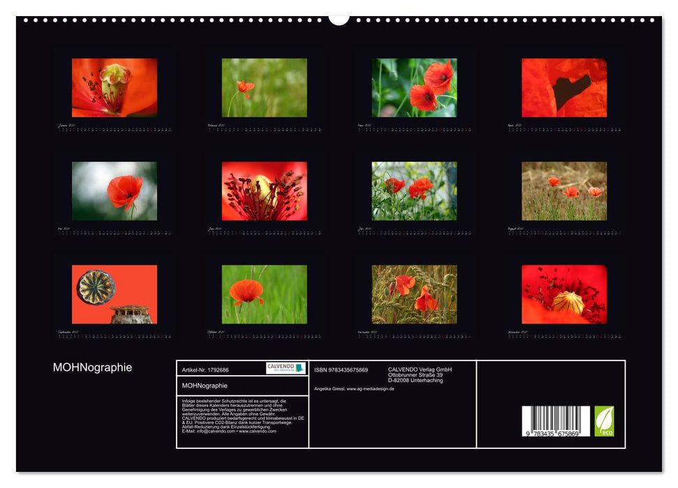 MOHNographie (CALVENDO Premium Wandkalender 2025)