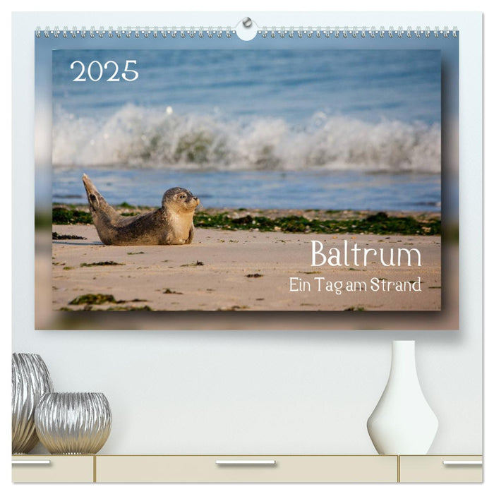 Baltrum - Ein Tag am Strand (CALVENDO Premium Wandkalender 2025)