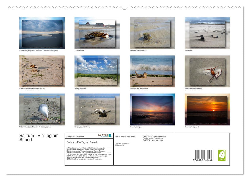 Baltrum - Ein Tag am Strand (CALVENDO Premium Wandkalender 2025)