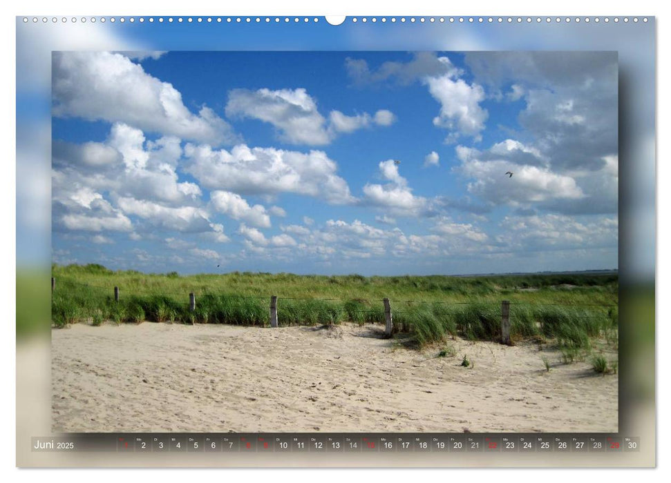 Baltrum - Ein Tag am Strand (CALVENDO Premium Wandkalender 2025)