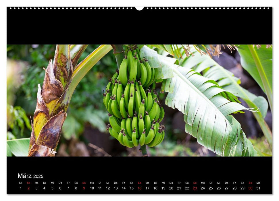 La Gomera - Kanarisches Naturparadies (CALVENDO Wandkalender 2025)