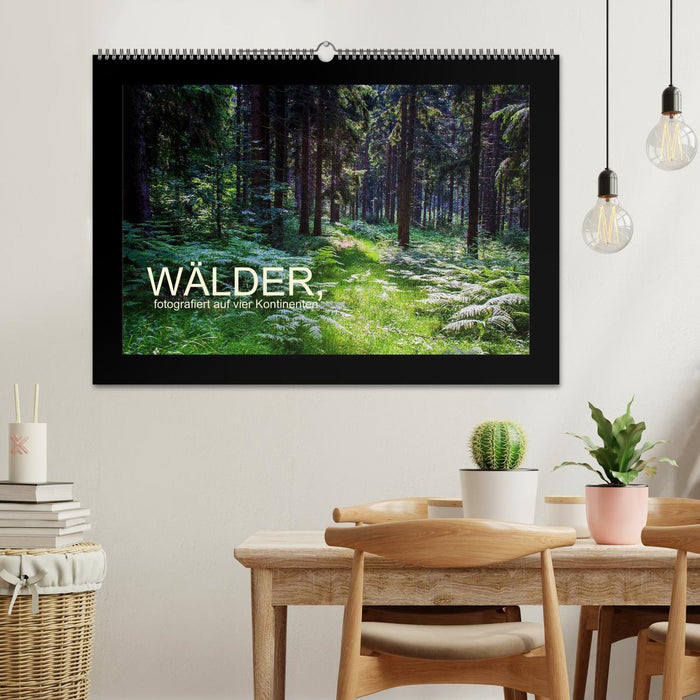 Wälder, fotografiert auf vier Kontinenten (CALVENDO Wandkalender 2025)