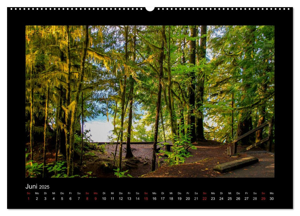 Wälder, fotografiert auf vier Kontinenten (CALVENDO Wandkalender 2025)