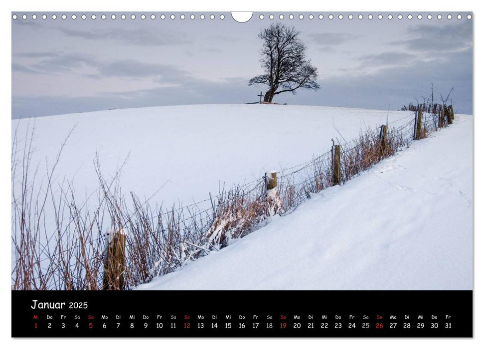 Billerbeck - Perle der Baumberge (CALVENDO Wandkalender 2025)