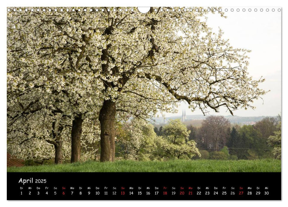 Billerbeck - Perle der Baumberge (CALVENDO Wandkalender 2025)