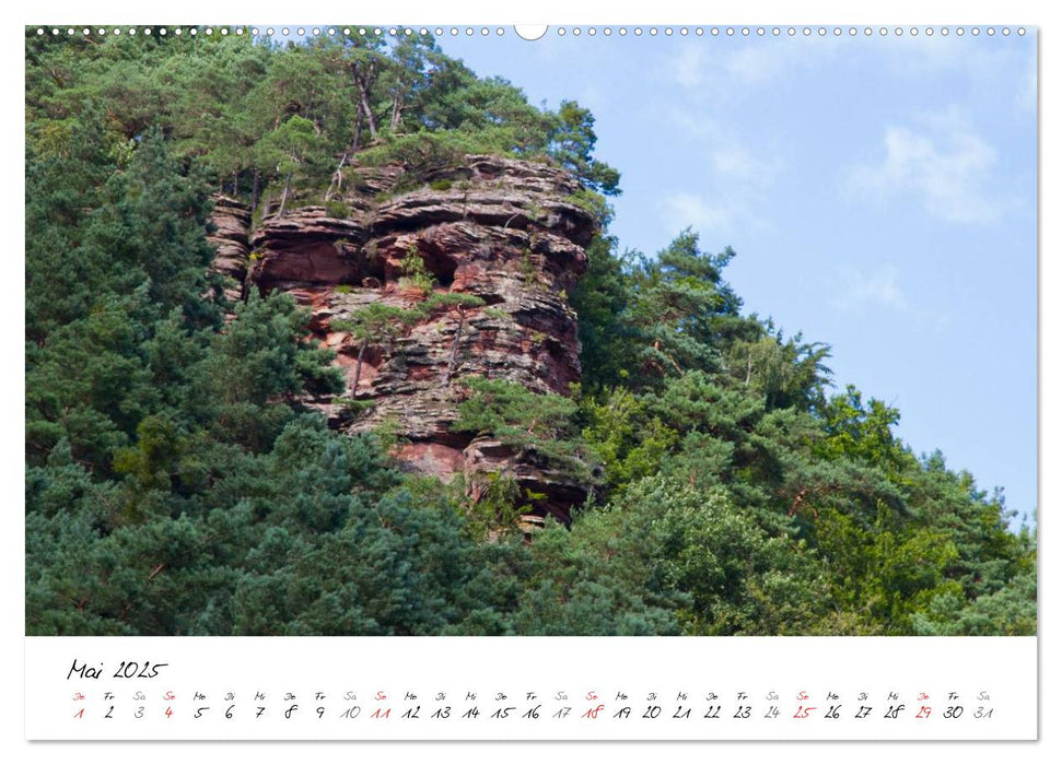 Naturparadies Dahner Felsenland (CALVENDO Premium Wandkalender 2025)