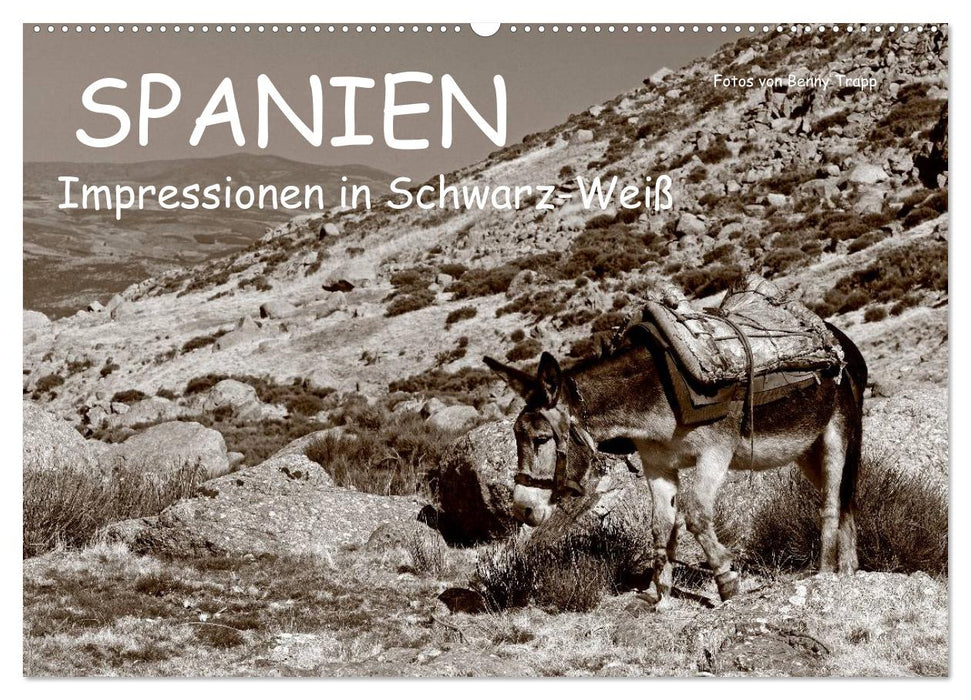 Spanien Impressionen in Schwarz-Weiß (CALVENDO Wandkalender 2025)