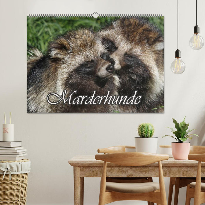 Marderhunde (CALVENDO Wandkalender 2025)