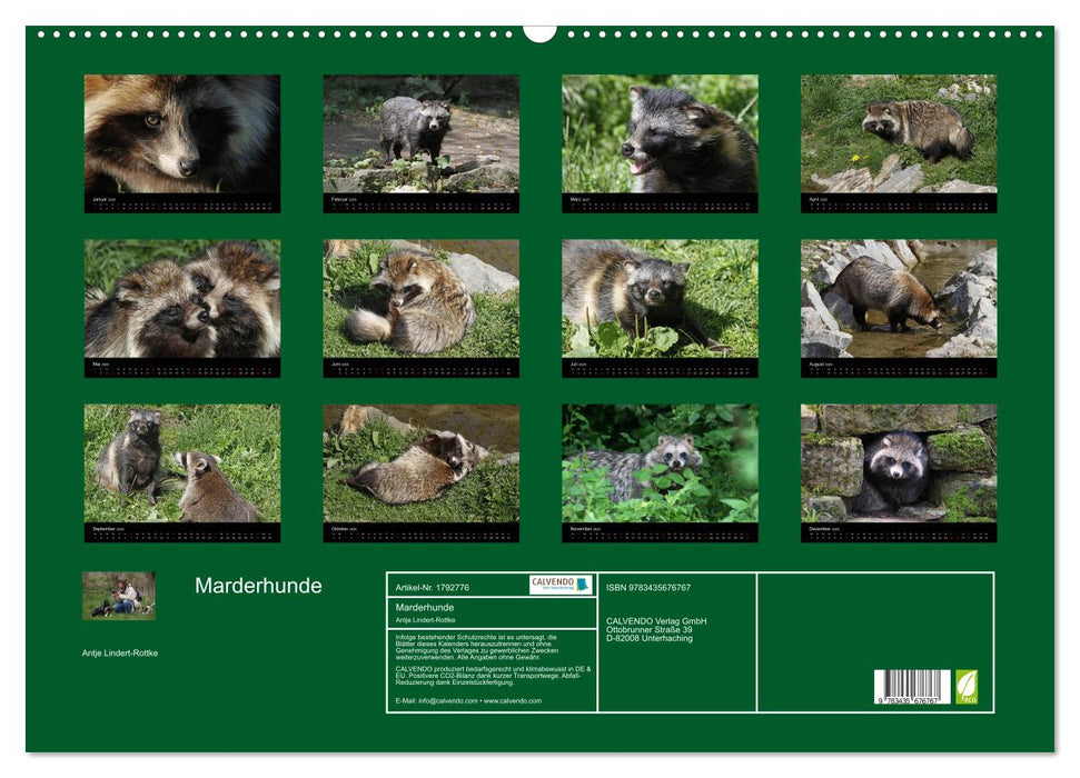 Marderhunde (CALVENDO Wandkalender 2025)