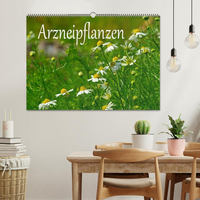 Arzneipflanzen (CALVENDO Wandkalender 2025)