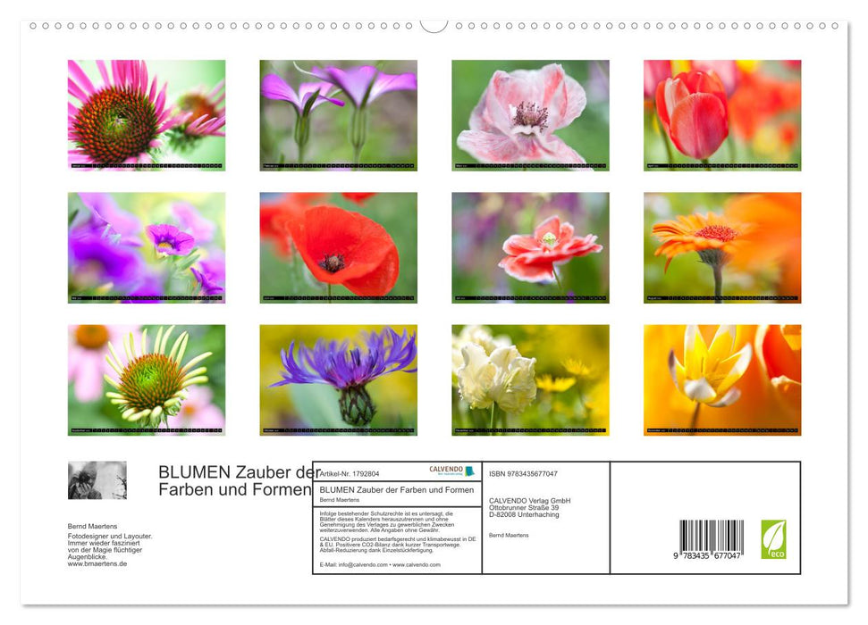 BLUMEN Zauber der Farben und Formen (CALVENDO Premium Wandkalender 2025)