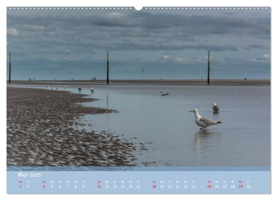 Mein St.Peter-Ording (CALVENDO Wandkalender 2025)