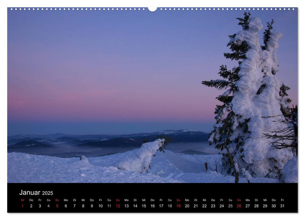 Bayerischer Wald - der Osten Bayerns (CALVENDO Premium Wandkalender 2025)