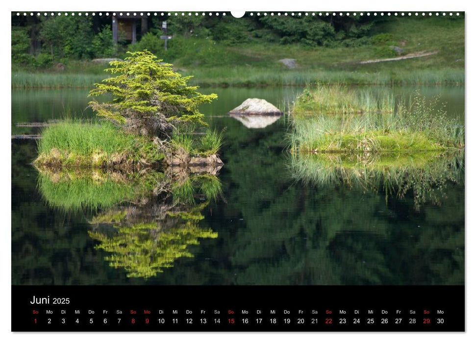 Bayerischer Wald - der Osten Bayerns (CALVENDO Premium Wandkalender 2025)