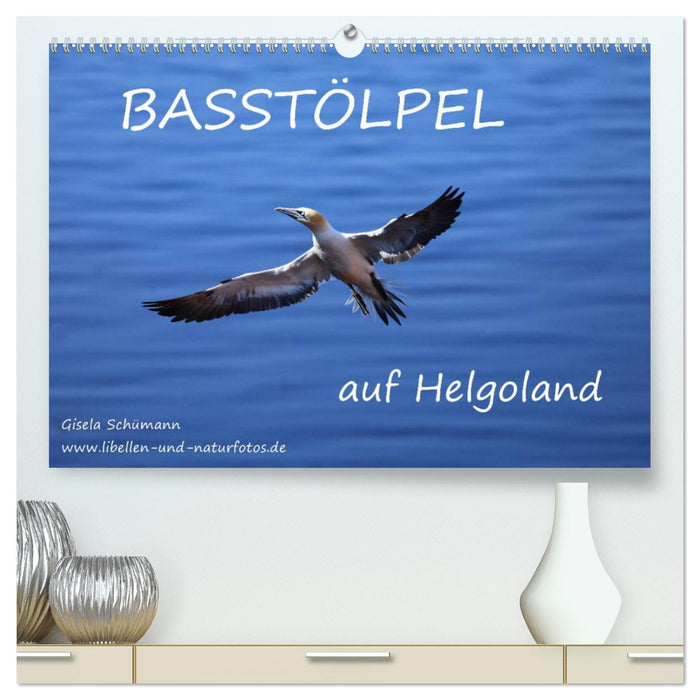 Basstölpel auf Helgoland (CALVENDO Premium Wandkalender 2025)