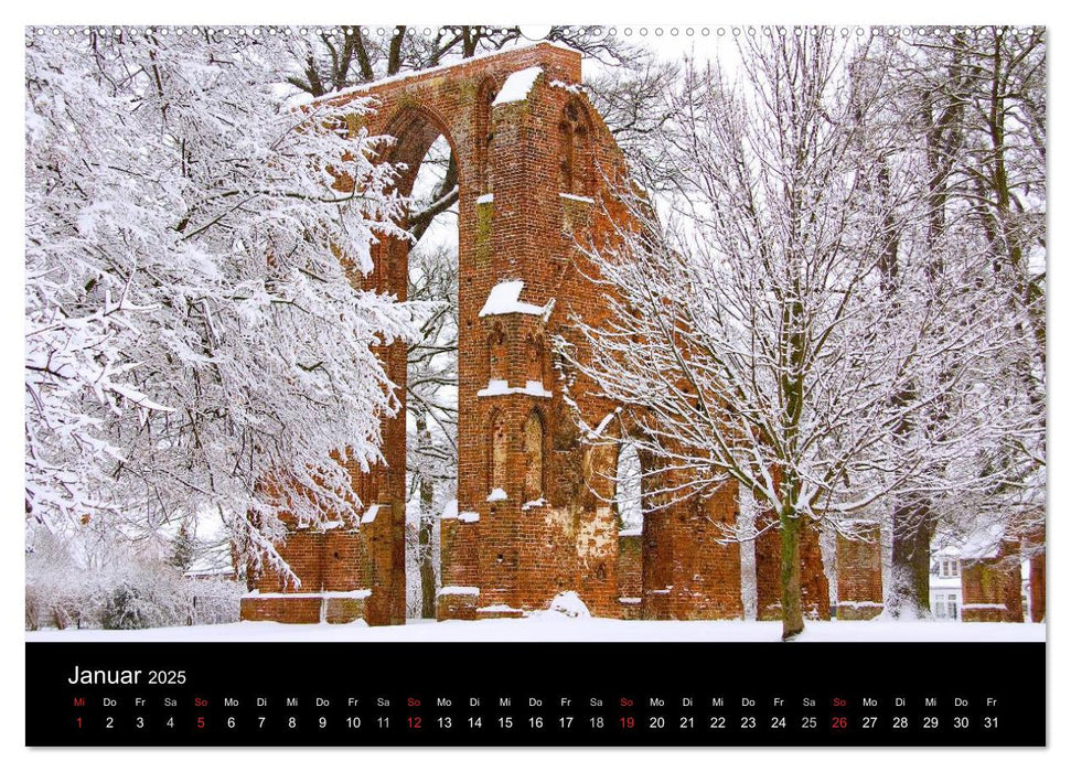 Univeritäts- und Hansestadt Greifswald (CALVENDO Premium Wandkalender 2025)