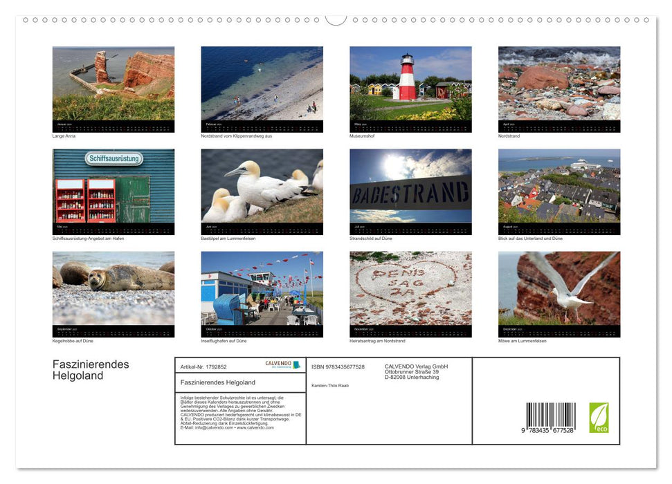 Faszinierendes Helgoland (CALVENDO Premium Wandkalender 2025)