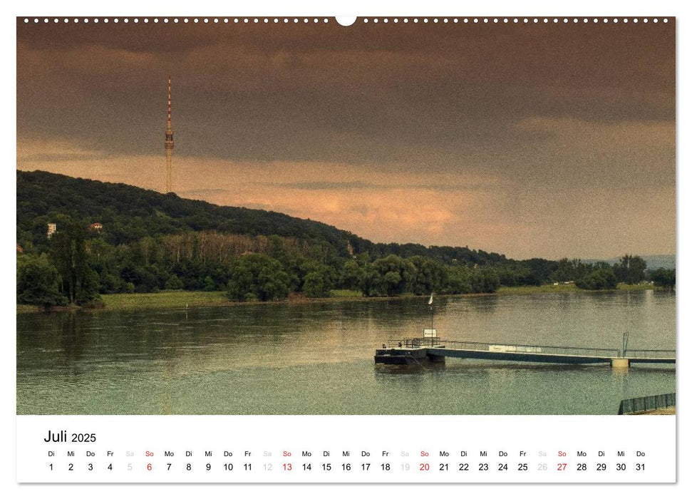 Elbufer Dresden 2025 (CALVENDO Premium Wandkalender 2025)