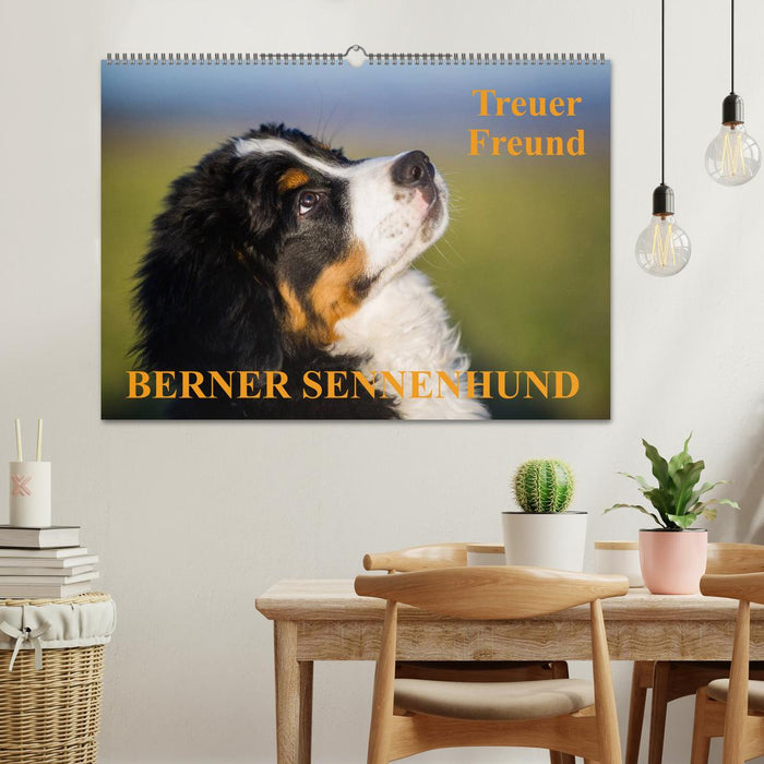 Treuer Freund Berner Sennenhund (CALVENDO Wandkalender 2025)