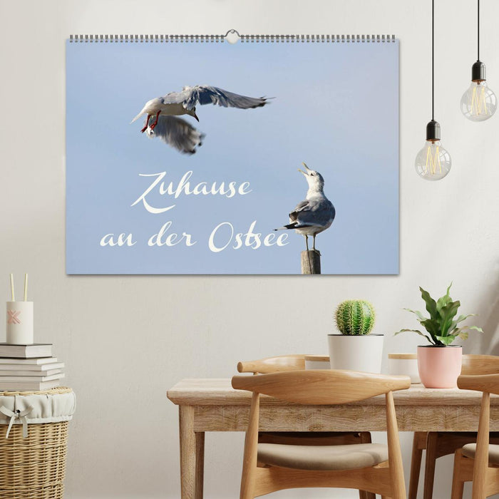 Zuhause an der Ostsee (CALVENDO Wandkalender 2025)