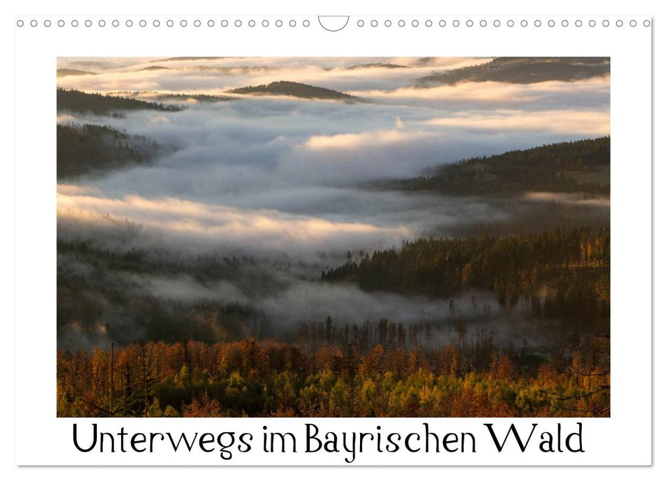 Unterwegs im Bayrischen Wald (CALVENDO Wandkalender 2025)