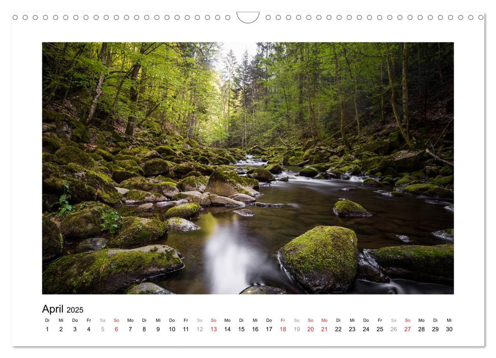 Unterwegs im Bayrischen Wald (CALVENDO Wandkalender 2025)