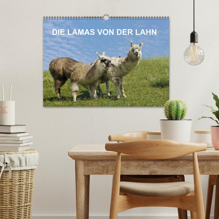 DIE LAMAS VON DER LAHN (CALVENDO Wandkalender 2025)