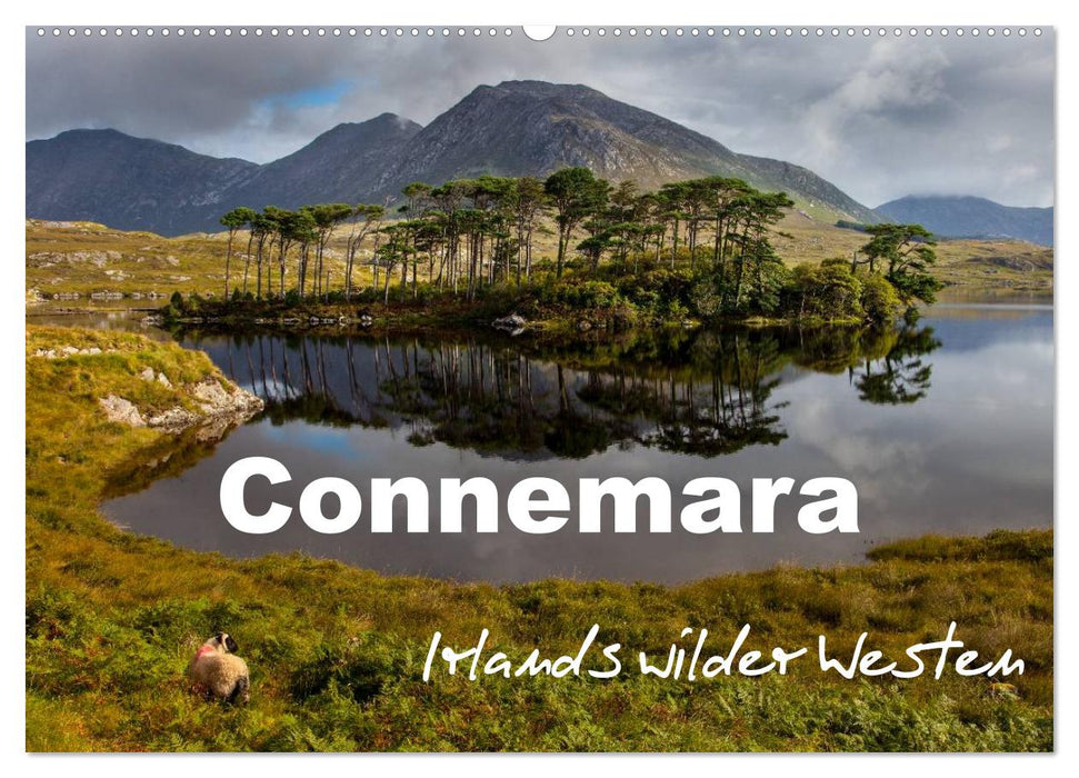 Connemara - Irlands wilder Westen (CALVENDO Wandkalender 2025)