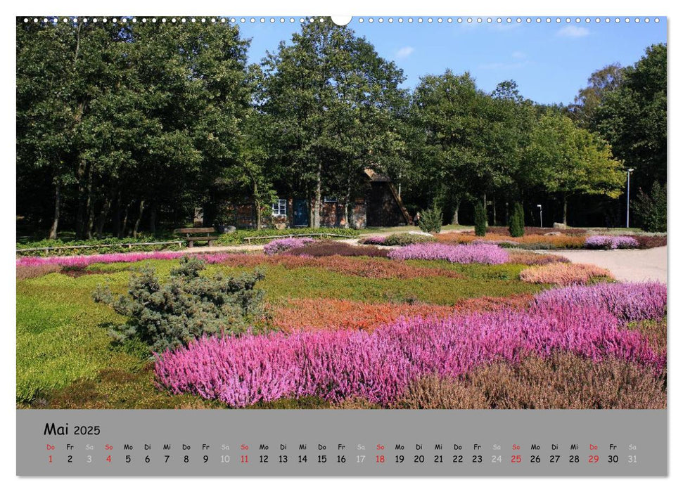 Lüneburger Heide - schön zu jeder Jahreszeit (CALVENDO Wandkalender 2025)